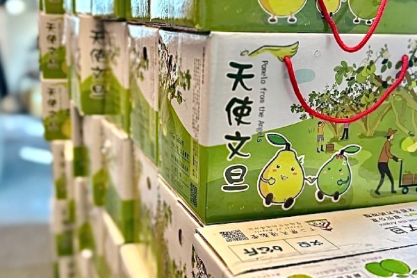 中秋柚飄香 公益文旦傳溫情